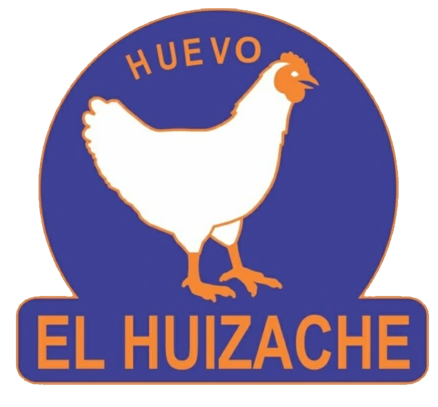 Proyecto 6
